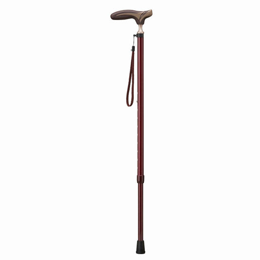 Antibacterial Grip Folding Cane EK-81