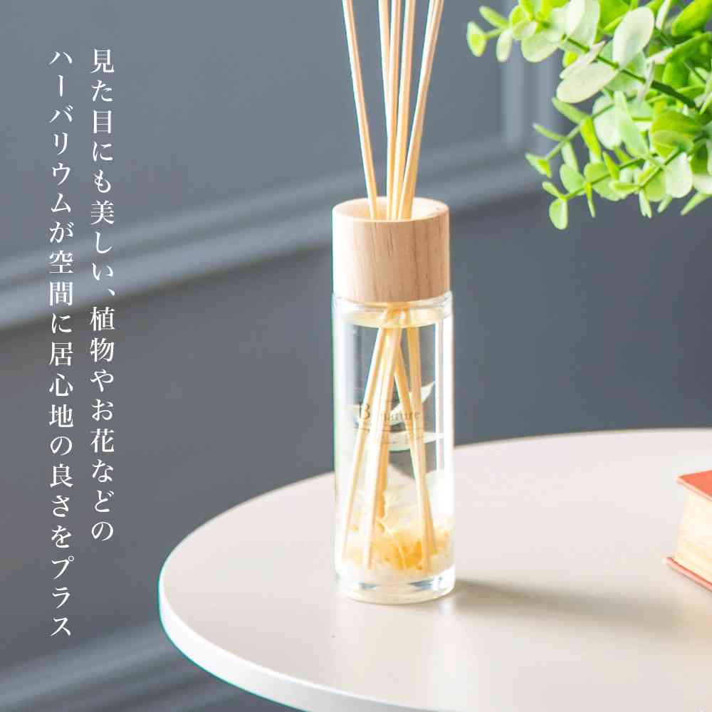 Toue B-nature Reed Diffuser Ocean Blue BN-005 120ml
