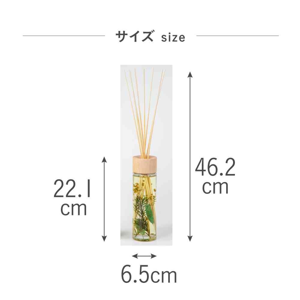 Fuji E B-nature Reed Diffuser White Galbanum BN-009 430ml