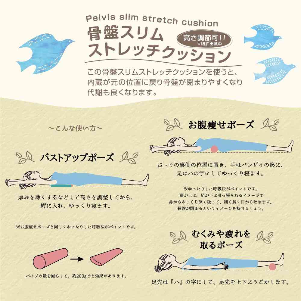 Tōei Happy Motif Exercise Pelvic Slim Stretch Cushion - Blue Bird