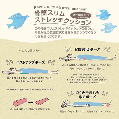 Tōei Happy Motif Exercise Pelvic Slim Stretch Cushion - Blue Bird