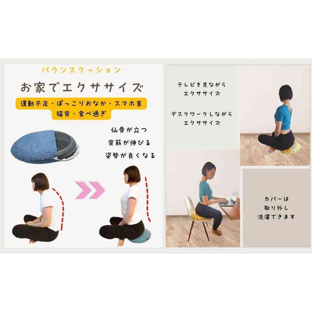 Toue Happy Motif Exercise Balance Cushion Hedgehog