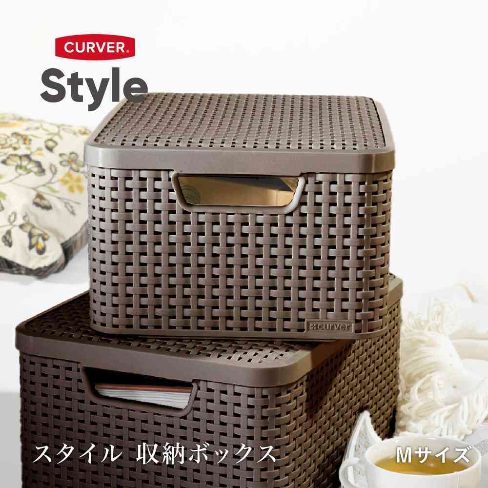 Fuji E Style Storage Box M Brown CV-047