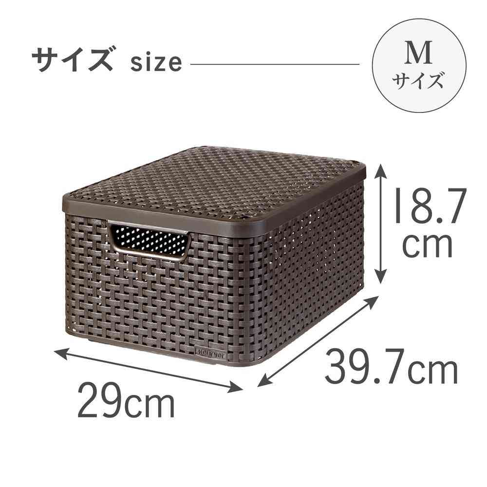 Fuji E Style Storage Box M Brown CV-047