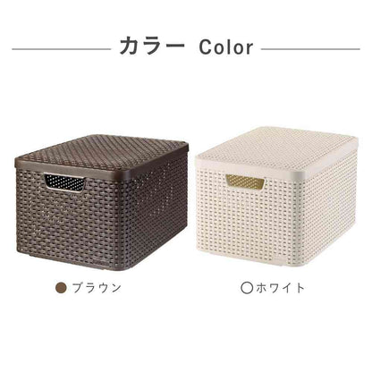 Fuji E Style Storage Box L Brown CV-049