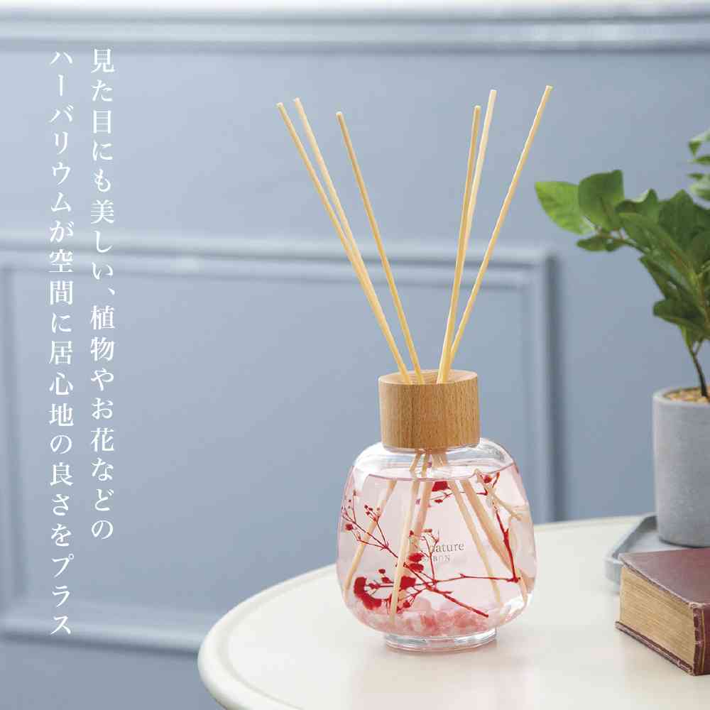 Fuji E B-nature Reed Diffuser Soap BN-020 530ml