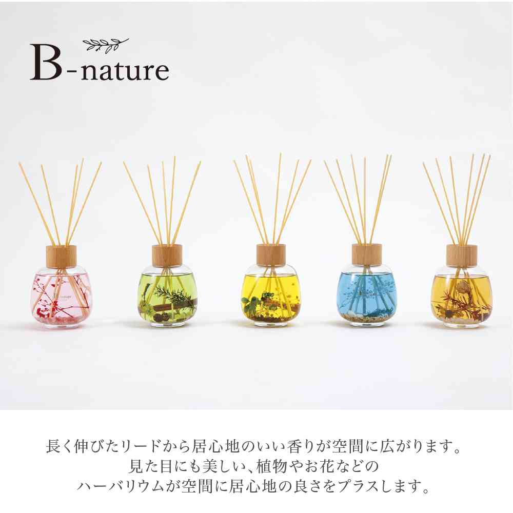Fuji E B-nature Reed Diffuser Soap BN-020 530ml