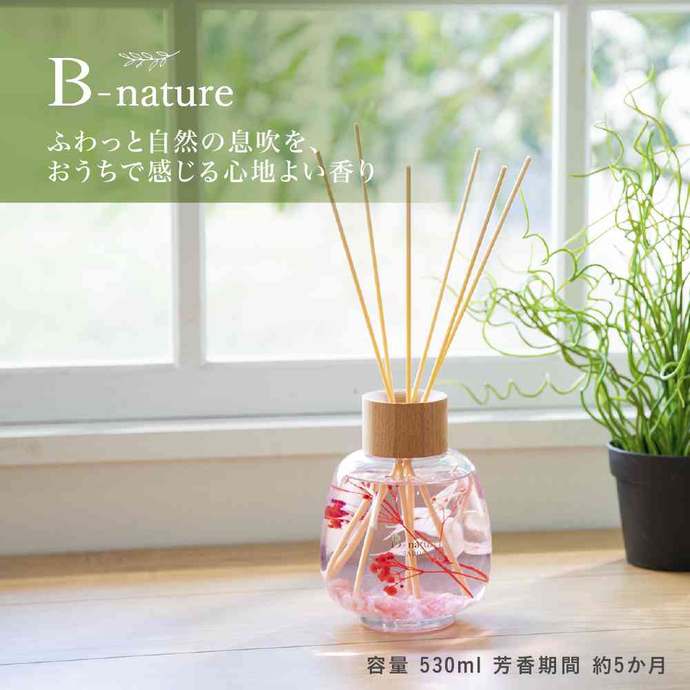 Fuji E B-nature Reed Diffuser Soap BN-020 530ml