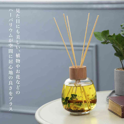 Fuji E B-nature Reed Diffuser Ginger BN-022 530ml