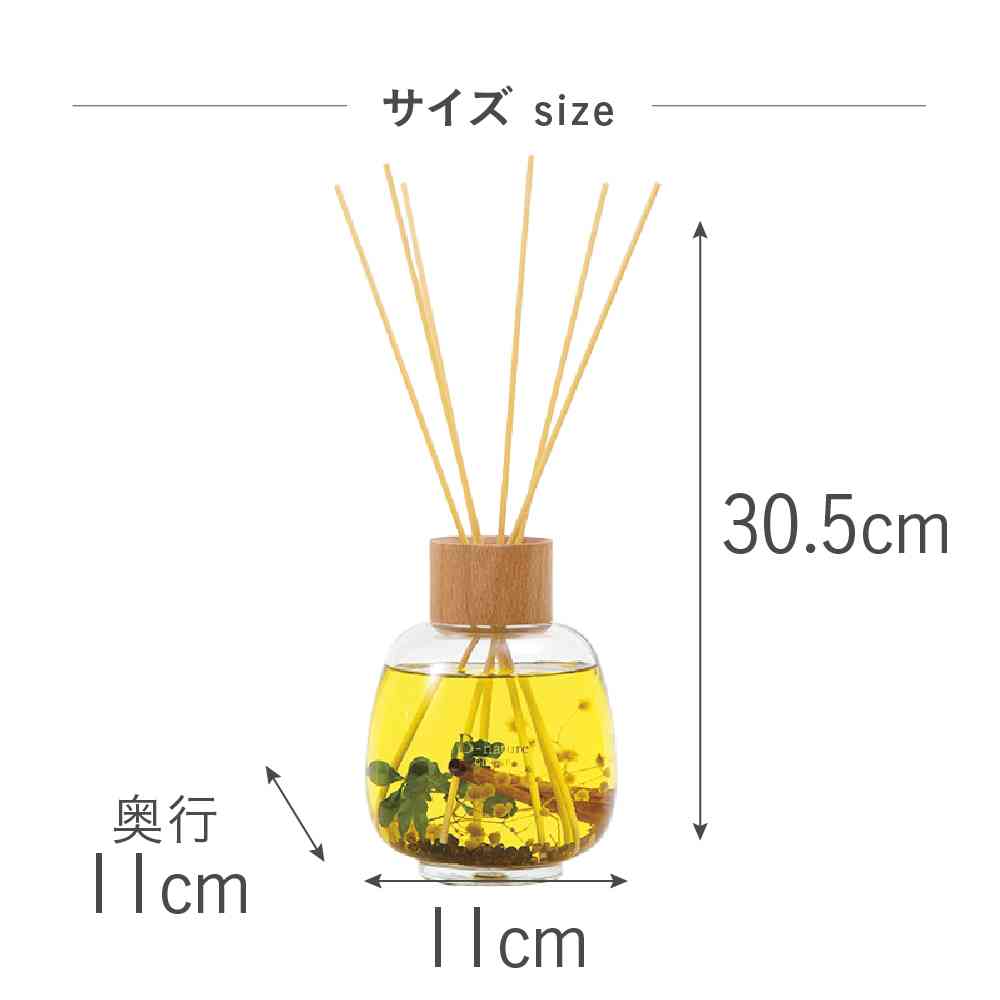 Fuji E B-nature Reed Diffuser Ginger BN-022 530ml