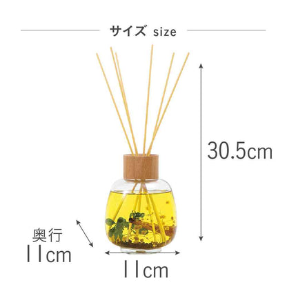 Fuji E B-nature Reed Diffuser Ginger BN-022 530ml