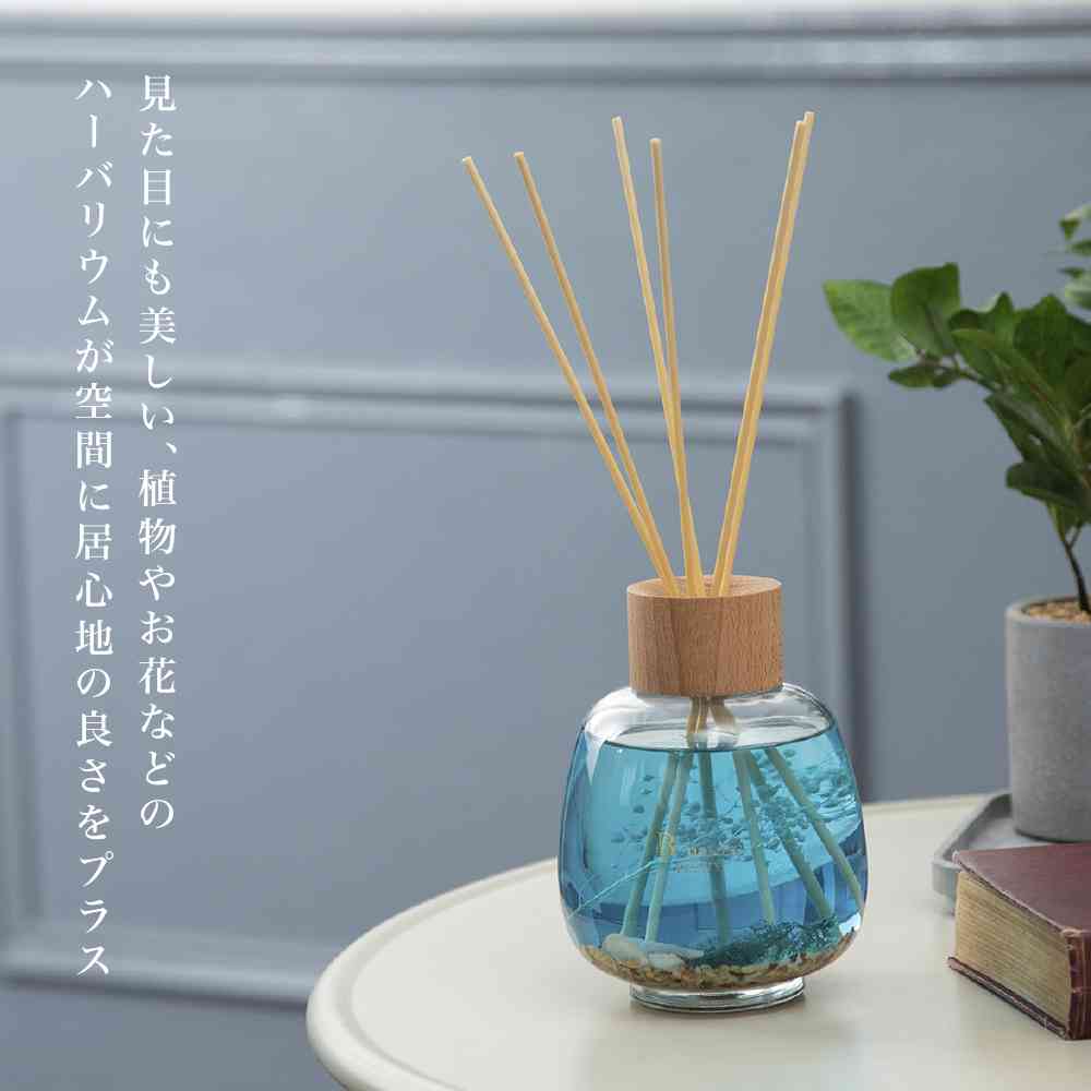 Toue B-nature Reed Diffuser Fruity BN-023 530ml