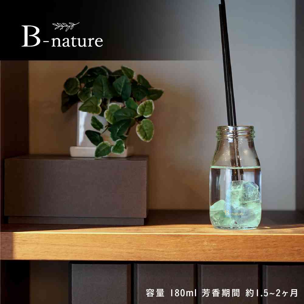 Fuji E B-nature Jewelry Reed Diffuser Jade BN-034 180ml