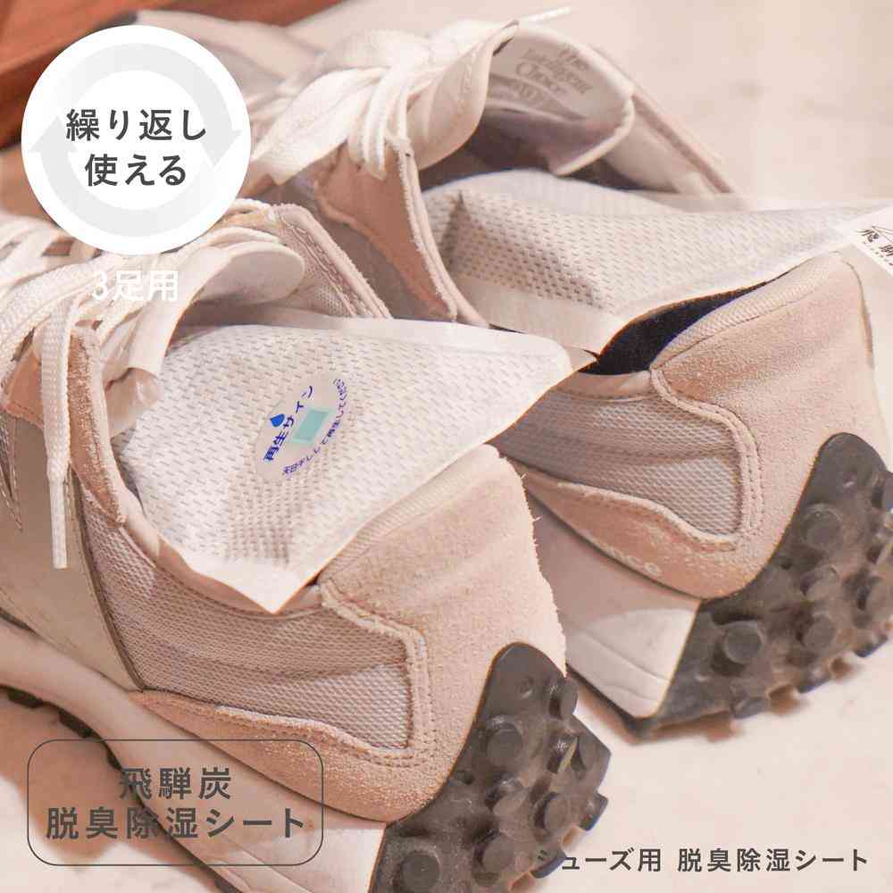Fujie Hida Charcoal Shoe Deodorizing and Moisture Absorbing Sheet for 3 Pairs HD-001