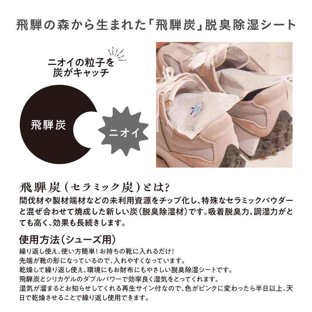 Fujie Hida Charcoal Shoe Deodorizing and Moisture Absorbing Sheet for 3 Pairs HD-001