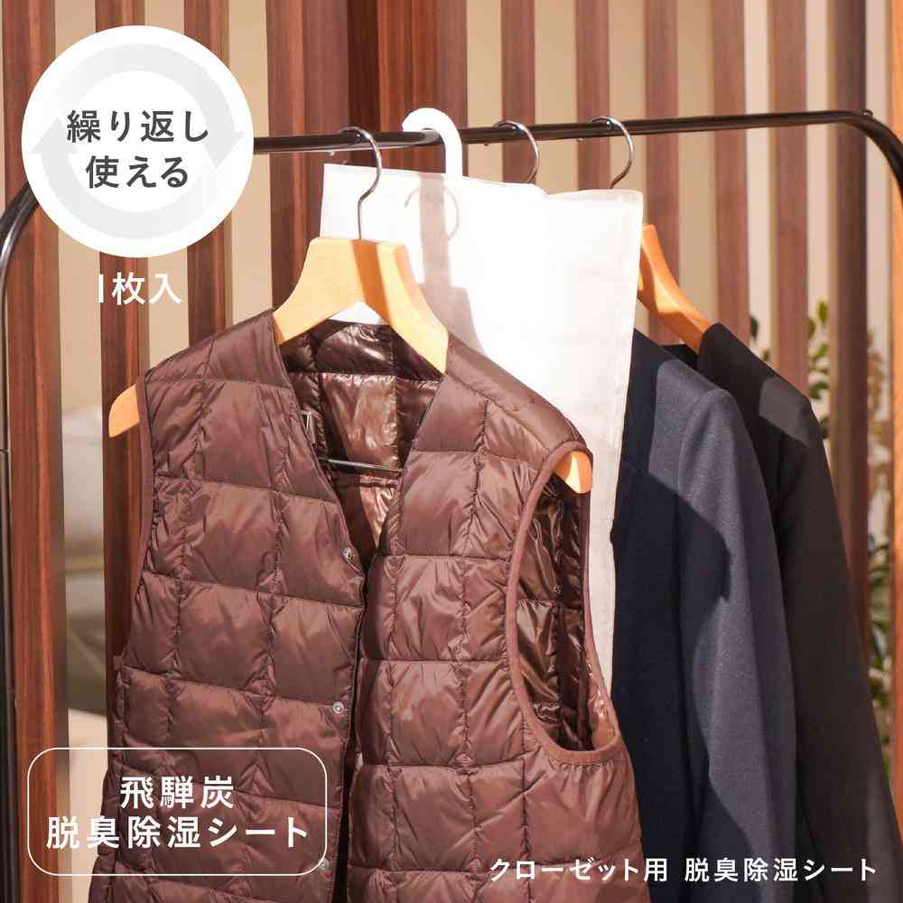 Fujie Hida Charcoal Closet Deodorizing and Moisture Absorbing Sheet HD-003 1 Sheet