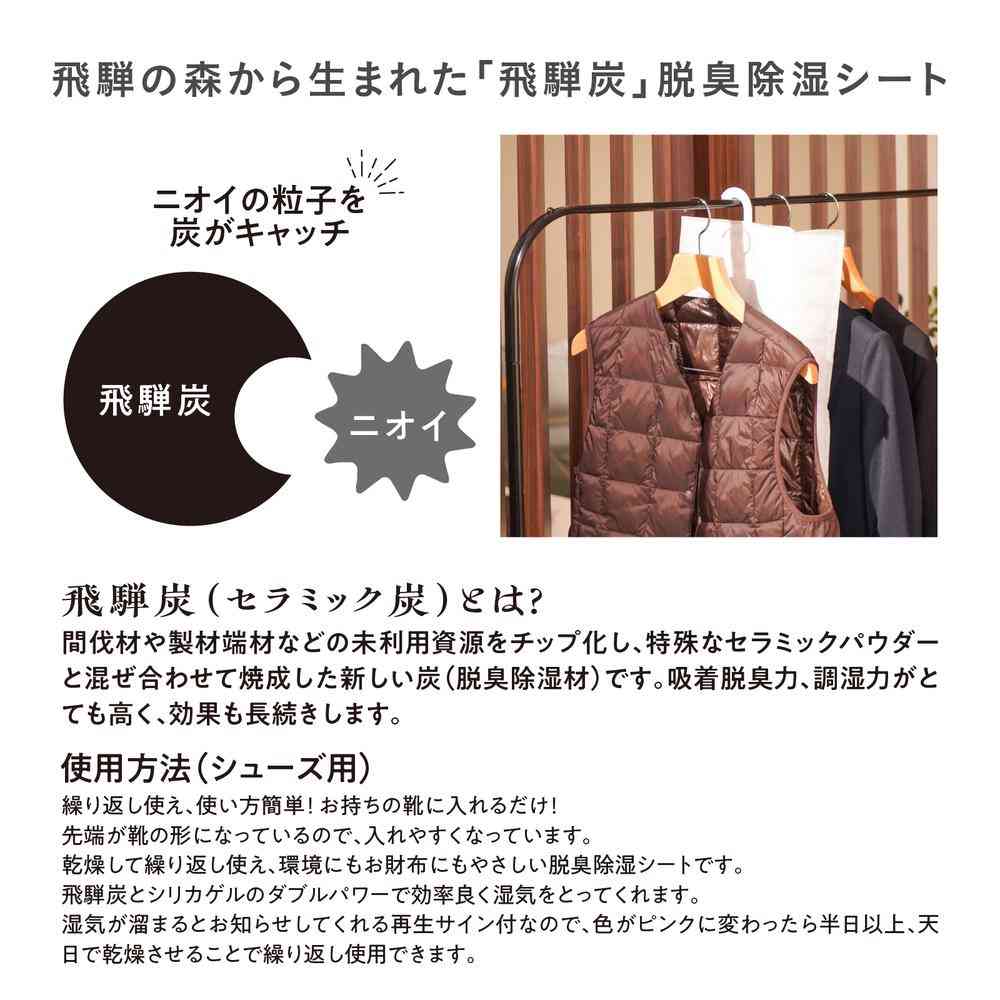 Fujie Hida Charcoal Closet Deodorizing and Moisture Absorbing Sheet HD-003 1 Sheet