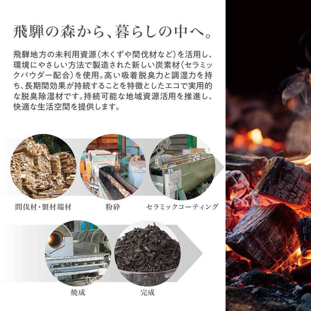 Fujie Hida Charcoal Closet Deodorizing and Moisture Absorbing Sheet HD-003 1 Sheet