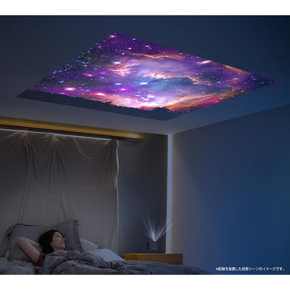LCD Projector RA-PB600