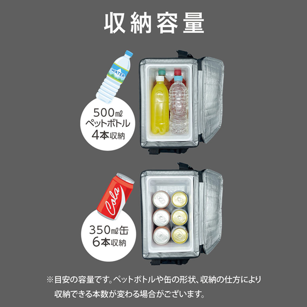 Portable Car Cooler and Warmer Bag RA-RS5