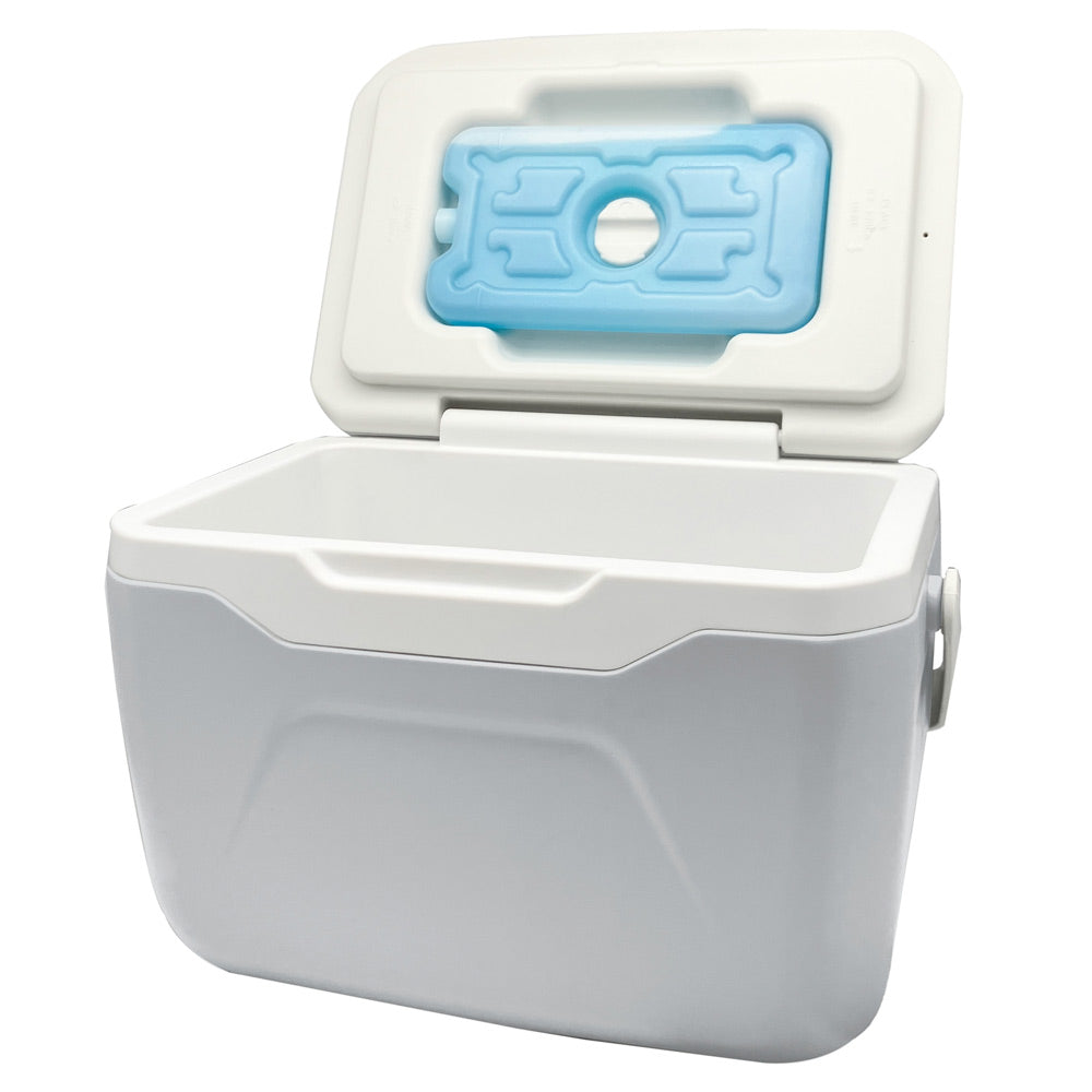 Cooler Box with Ice Pack GR-CB48