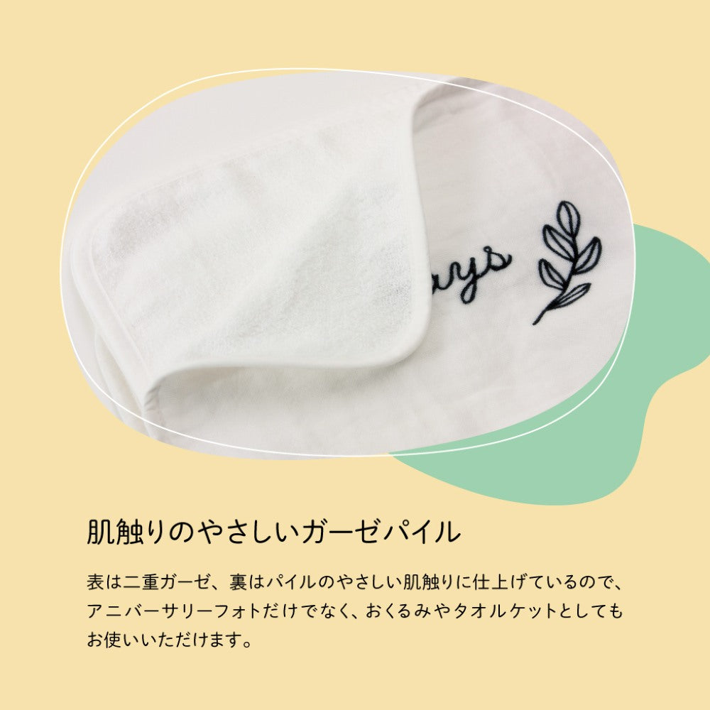 Anniversary Organic Cotton Towel 42050