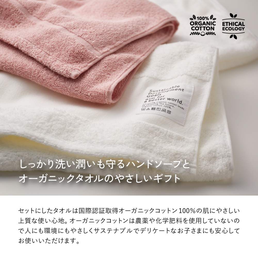 Orangy Medicinal Hand Soap and Towel Set 19048