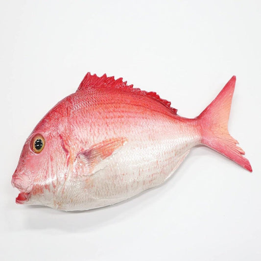 Food Sample Sea Bream (One Side) Blow IP-544