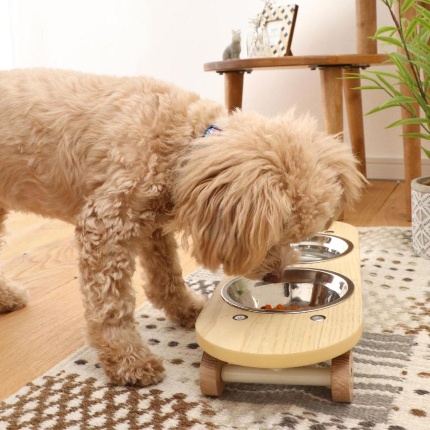 Pet Food Bowl Skate Plate Natural Small 326837