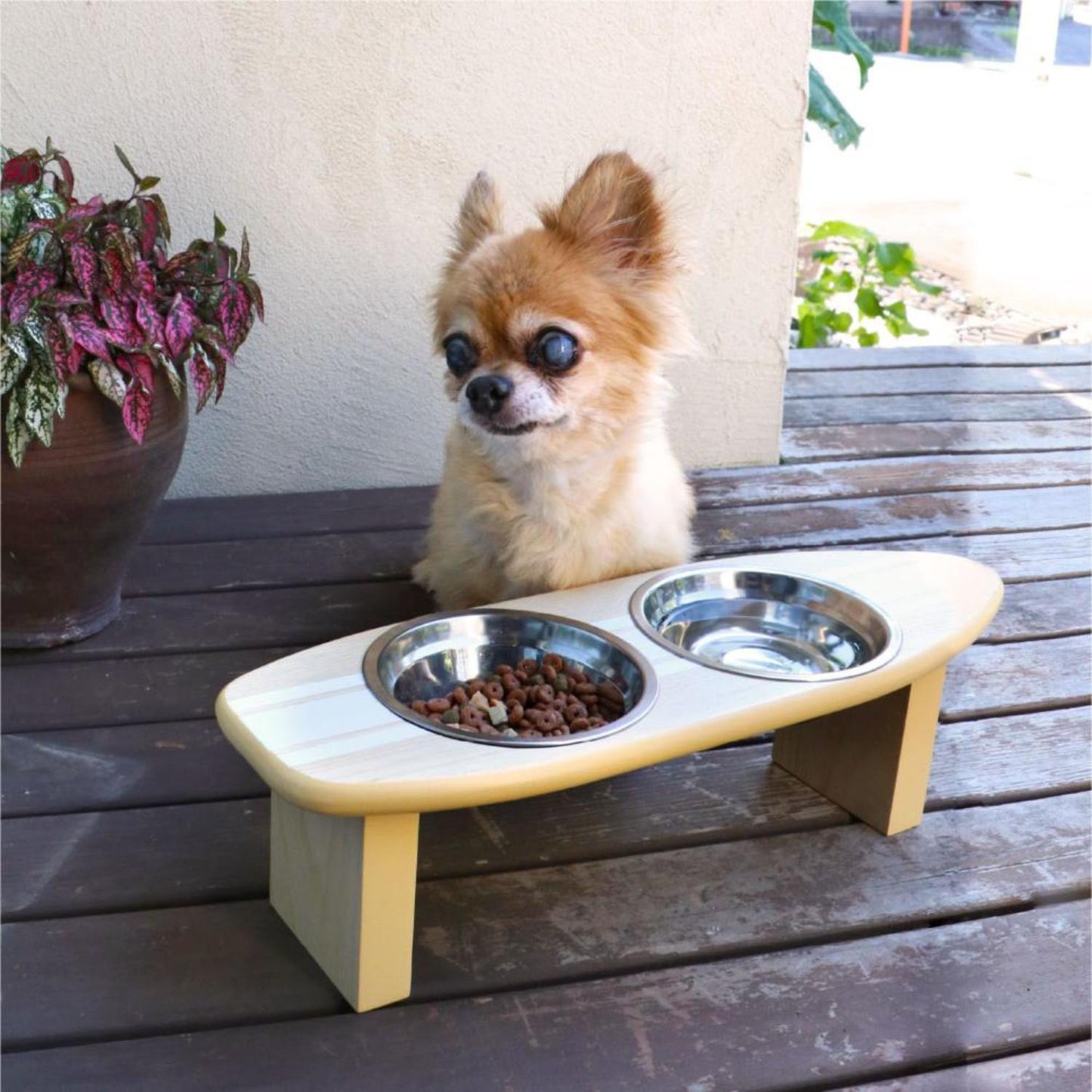 Pet Food Bowl Surf Plate White 330995