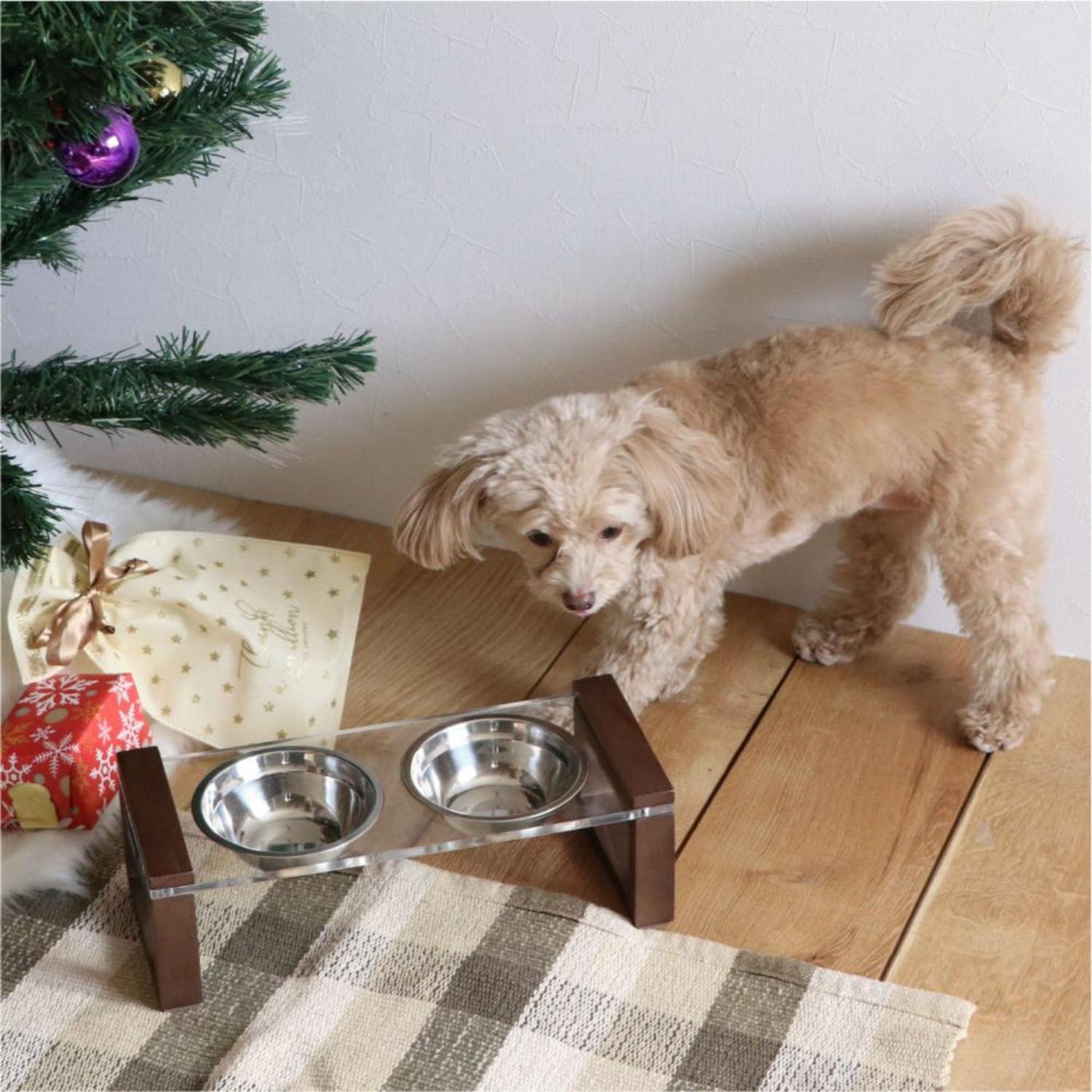 Pet Food Bowl Lime Brown 338353