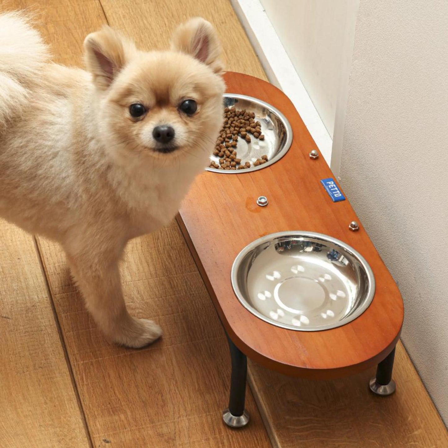 Pet Food Bowl Bella Brown 352916