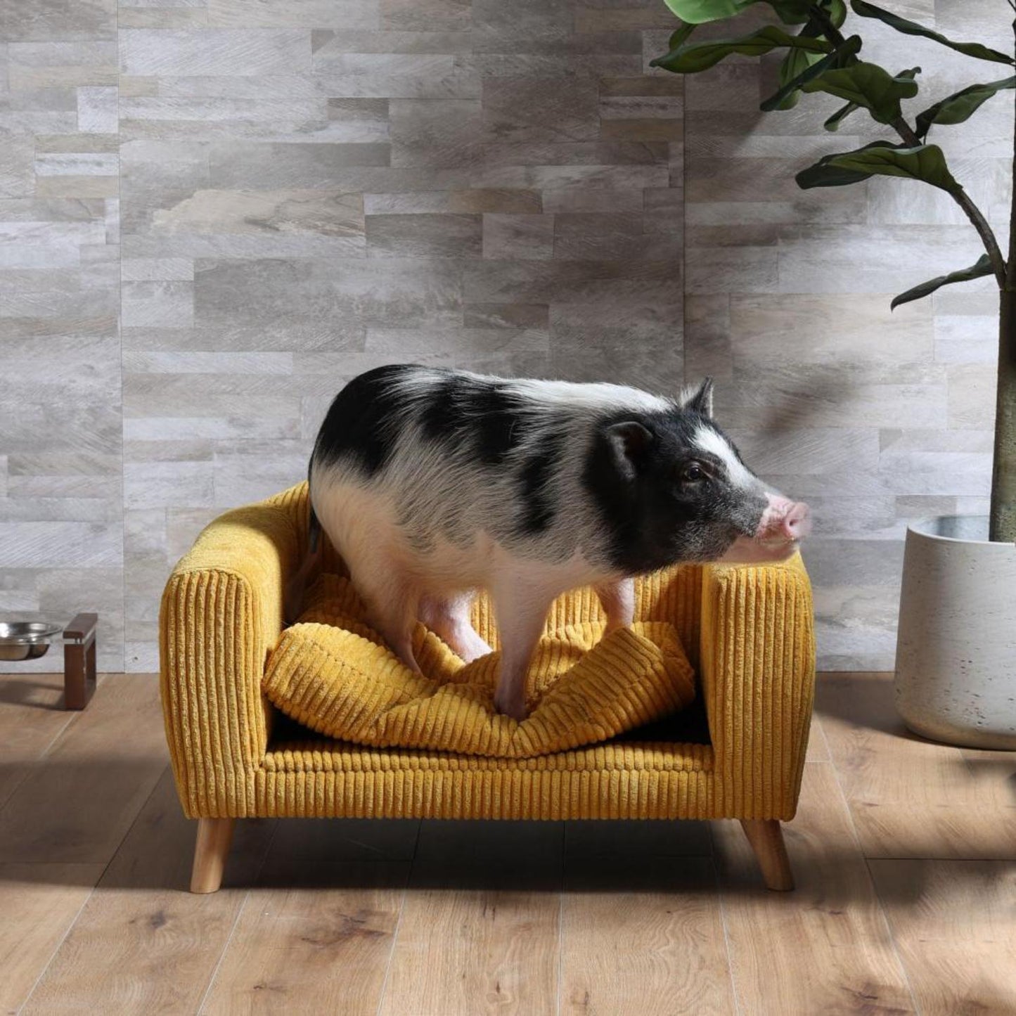 Pet Sofa Harden Yellow 382215
