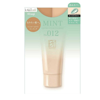 Atsugi BT Beige Tights Control Color Stockings 1 Pair