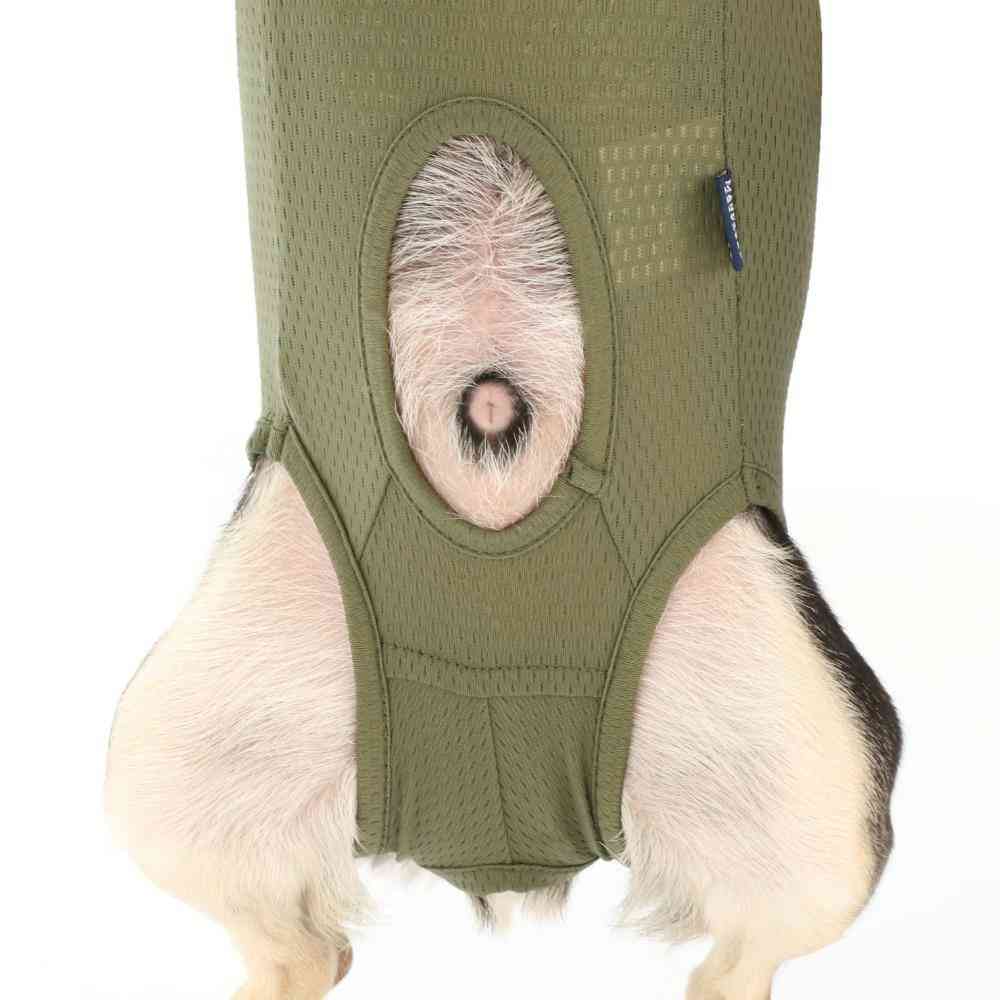 Vet's Wear for Dogs - Khaki - S