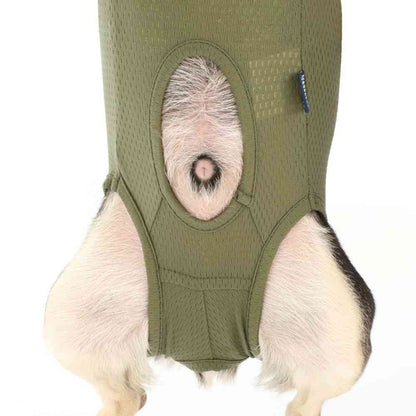 Vet's Wear for Dogs - Khaki - S