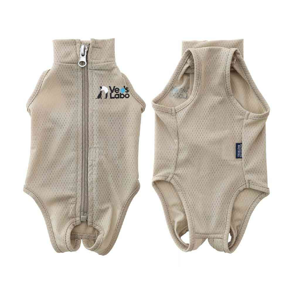 Cat Wear Bet's Wear Greige XL