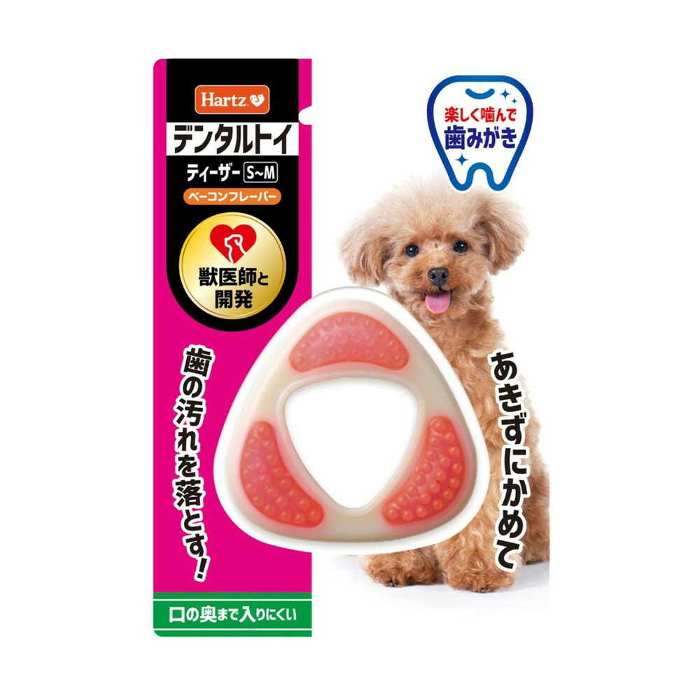 Hearts Teaser for Small to Miniature Dogs S-M