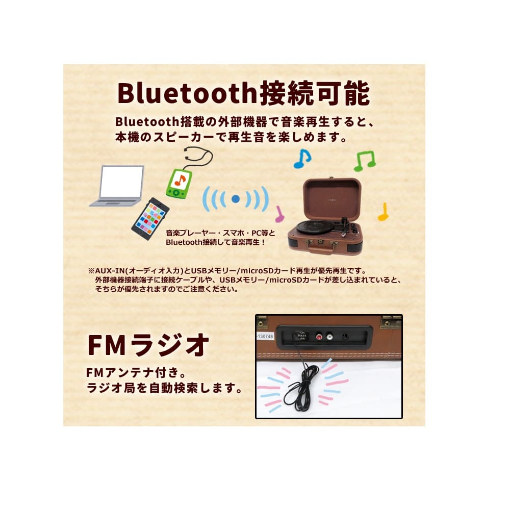 Rechargeable Record Player TE-1060RE