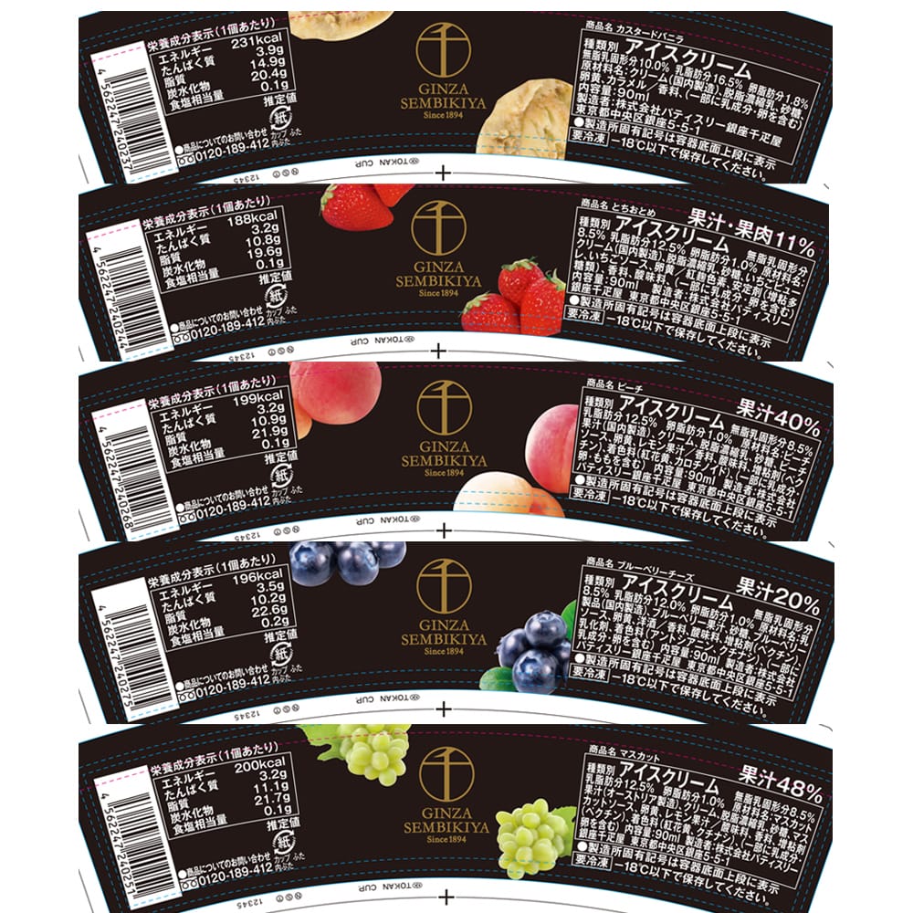 Ginza Senbikiya Premium Ice Cream & Sorbet x1 Box