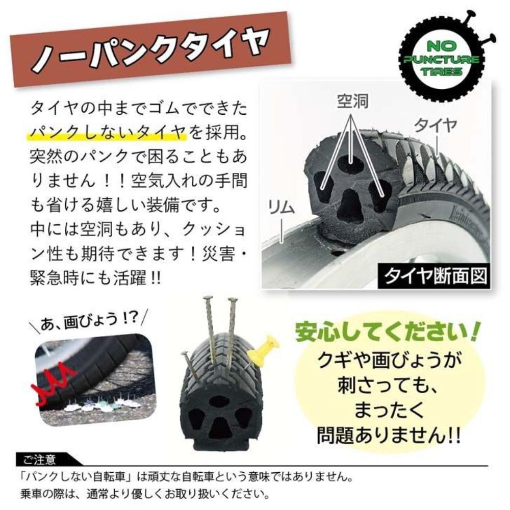 ACTIVE PLUS No-Puncture Tricycle L