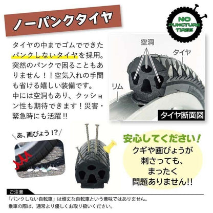 ACTIVE PLUS No-Puncture Tricycle L