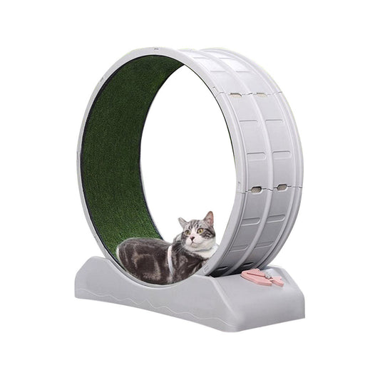 Running Machine for Dogs and Cats - ABS Wheel