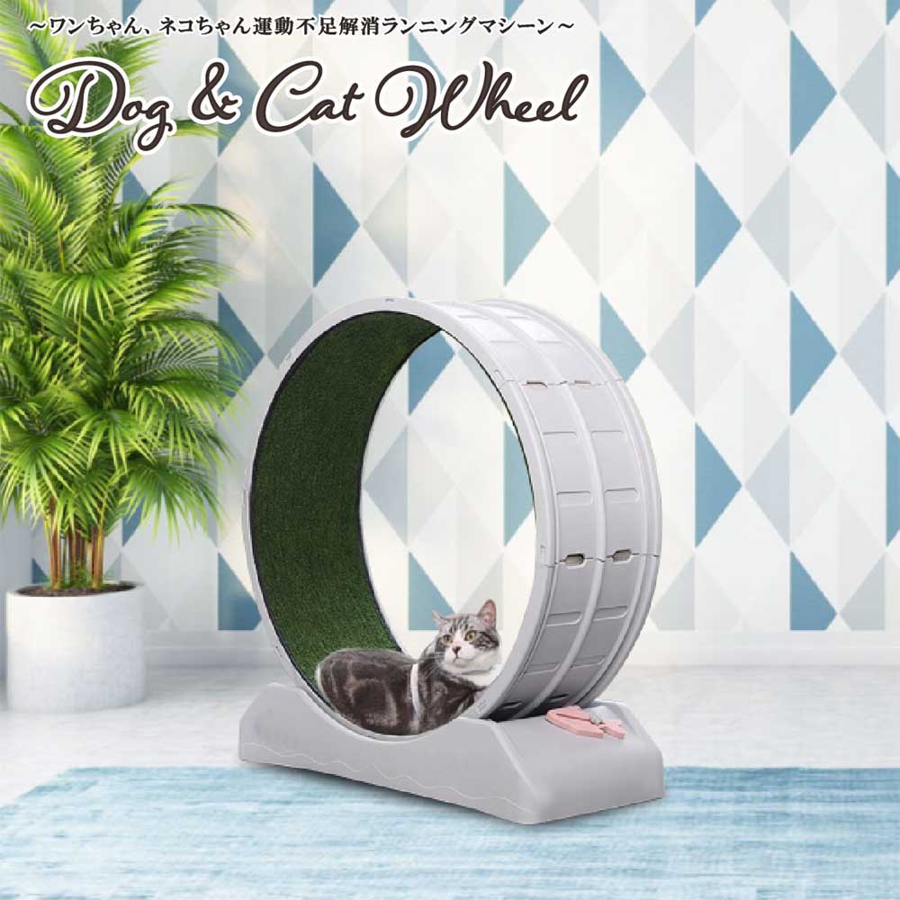 Running Machine for Dogs and Cats - ABS Wheel