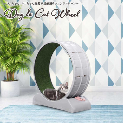 Running Machine for Dogs and Cats - ABS Wheel