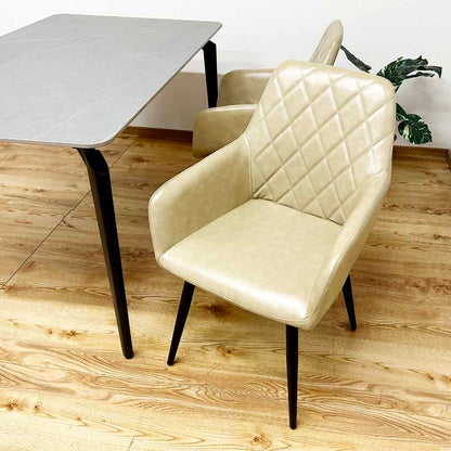 Rotating Dining Chair Set of 2 DC-CRP-CM