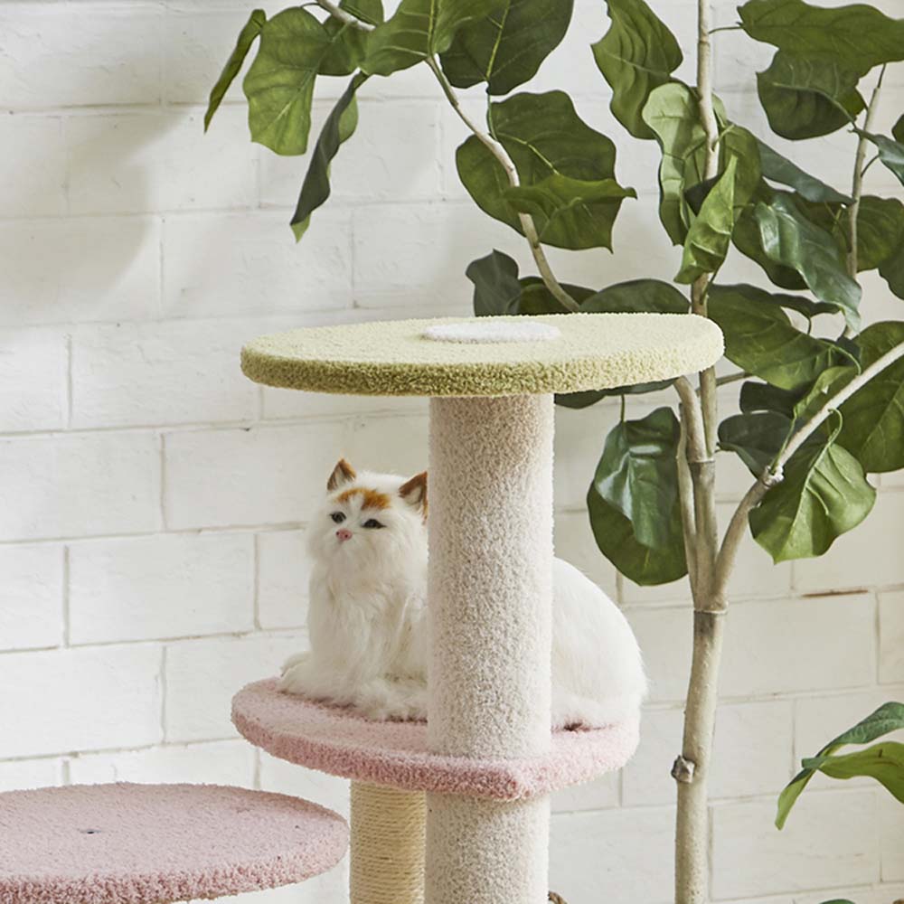 Cat Tower Momo