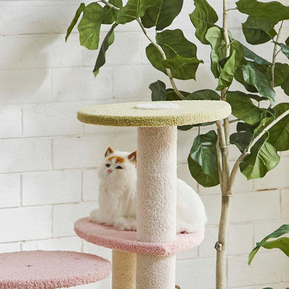 Cat Tower Momo
