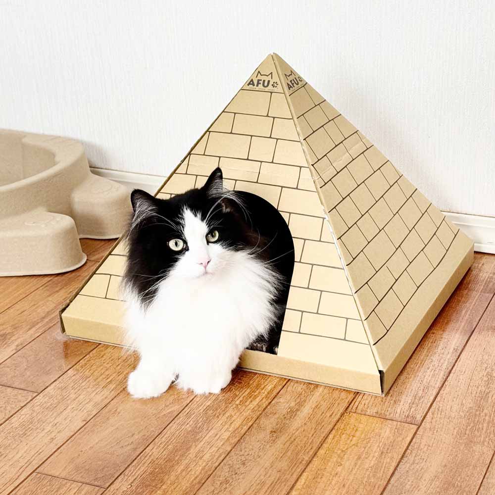 Cat House with Scratching Post