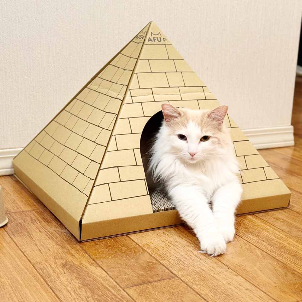 Cat House with Scratching Post